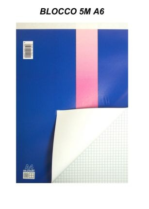 BLOCCHI 5M BRISTOL 10X15 A6 10pz BLASETTI