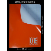 QUAD. ONE COLOR Q 5M 15X20 A5 10pz BLASETTI