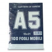 RIC.A5 5M FG100